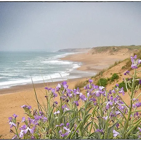 Le Galet - 500m De La Gare لي سابلِ دولونْ